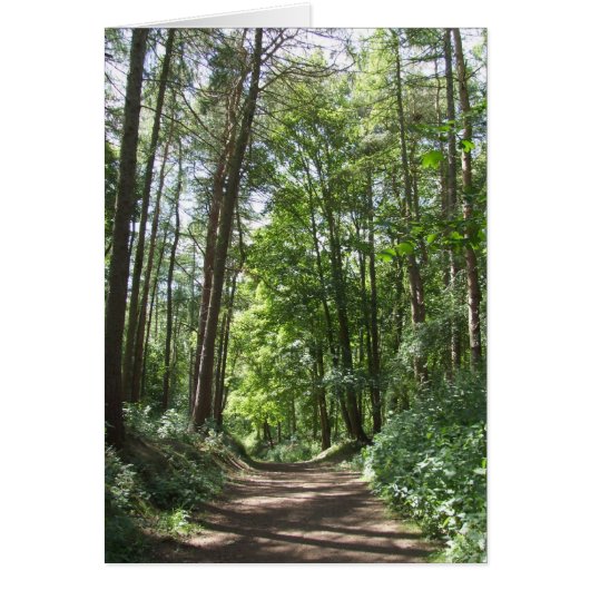 Carte Woods (Devant)