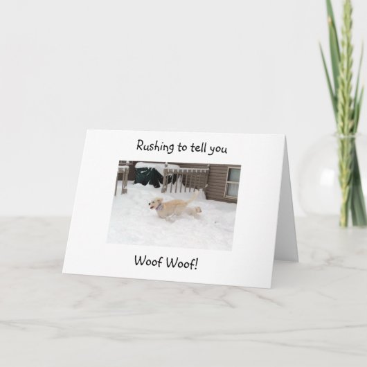 CARTE WOOF WOOF À "4O" TU AS L'AIR "BON!" (Devant)