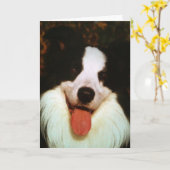 CARTE WOOF WOOF HAPPY BIRTHDAY HONEY (Fleur jaune)