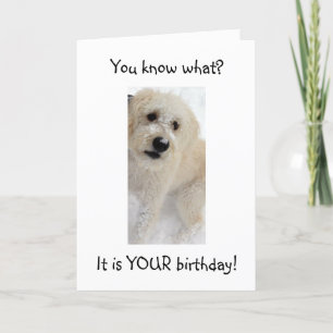 Carte WOOF WOOF-you RECHERCHE BON POUR "40"