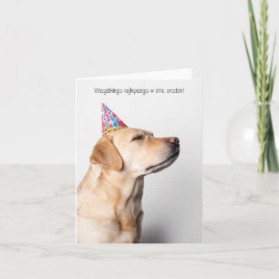 Carte Wszystkiego najlepszego w dniu urodzin, polonais