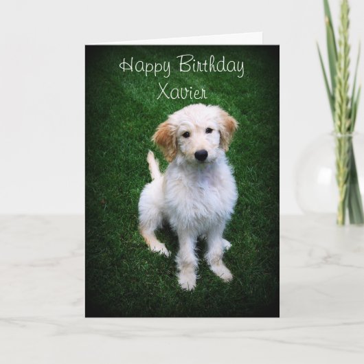 Carte Xavier Happy Birthday Golden Doodle Puppy (Devant)