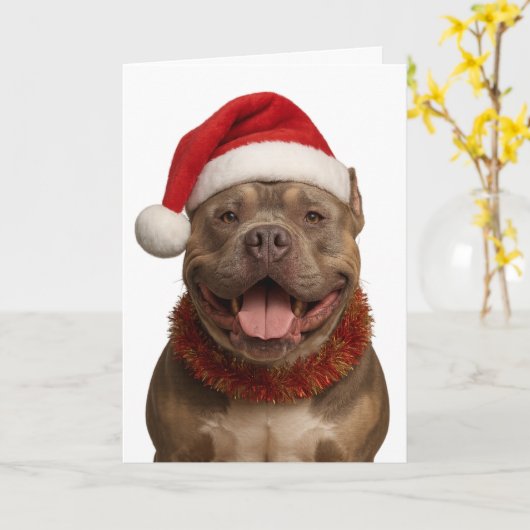 Carte XL Bully in a Santa hat Christmas card (Fleur jaune)