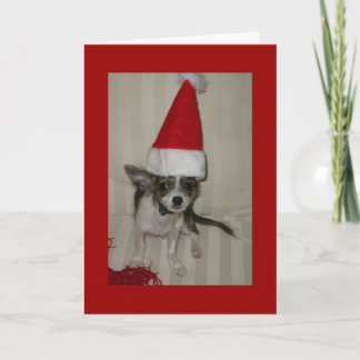 Carte Xmas Chihuahua