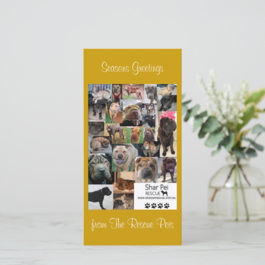 Carte Xmas Secourt Shar Pei (Debout devant)