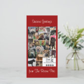 Carte Xmas Secourt Shar Pei (Debout devant)