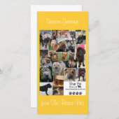 Carte Xmas Secourt Shar Pei (Devant / Derrière)