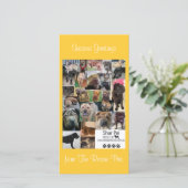 Carte Xmas Secourt Shar Pei (Debout devant)