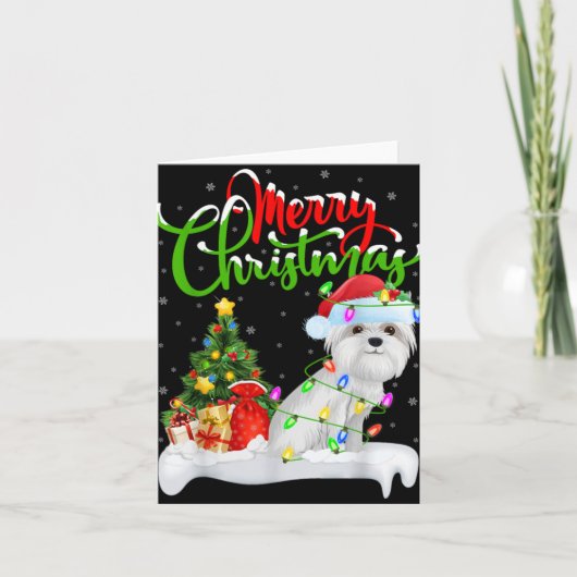 Carte Xmas Tree Lights Santa Hat Maltese Dog Christmas T (Devant)