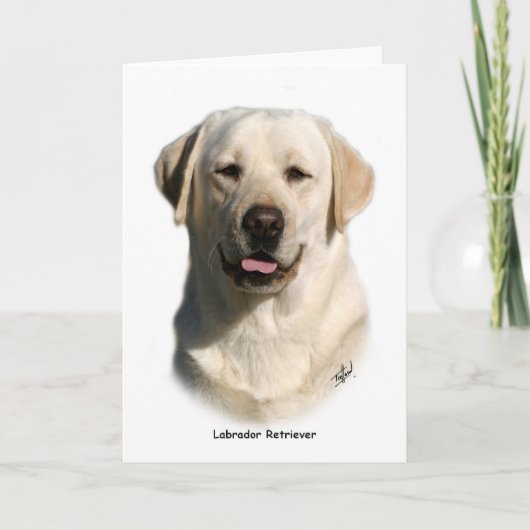 Carte Y ellow Labrador Retriever (Devant)