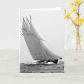 Carte Yacht d'emballage Atlantic, 1904 (Fleur jaune)