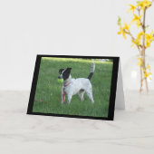 Carte Yahtzee Le Chien avec Ball Grey Card (Fleur jaune)