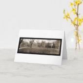 Carte Yale, photo 1909 de New Haven CT (Fleur jaune)