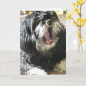 Carte YAWNING CUZ JE SUIS GARÉ 40e ANNIVERSAIRE (Fleur jaune)