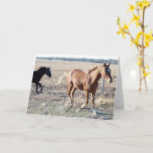 Carte Yearlings (Fleur jaune)