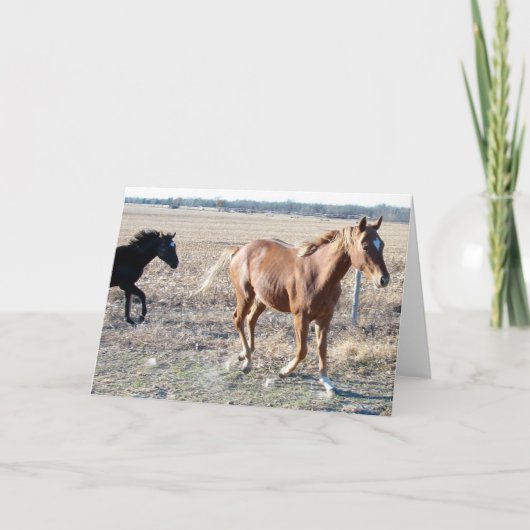 Carte Yearlings (Devant)