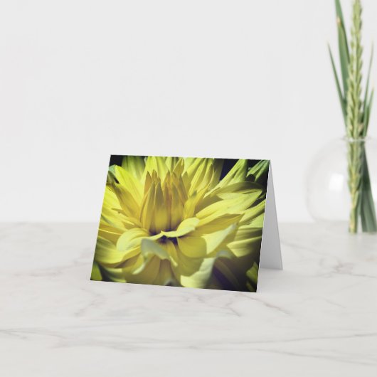 Carte Yellow Dahlia Flower Petals Photography Note (Devant)