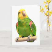 Carte Yellow-headed amazon (Fleur jaune)