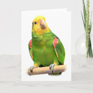 Carte Yellow-headed amazon