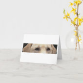 Carte Yellow Lab Eyes (Fleur jaune)