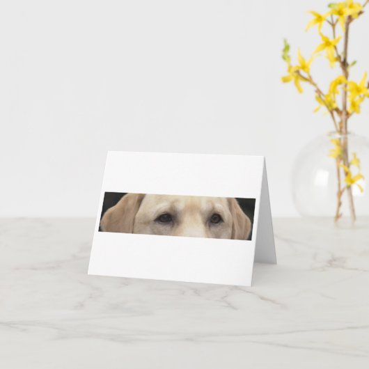 Carte Yellow Lab Eyes (Fleur jaune)