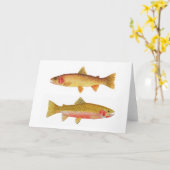 Carte Yellowstone et truite impitoyable de Westslope (Fleur jaune)