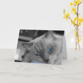 Carte Yeux bleus (Fleur jaune)