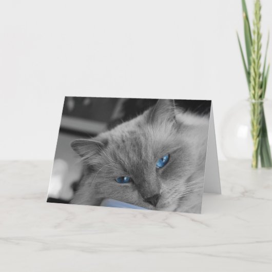 Carte Yeux bleus (Devant)