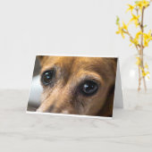 Carte Yeux de chien (Fleur jaune)