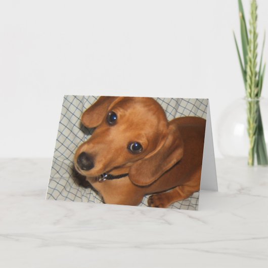 Carte Yeux de chiot d'animal familier de teckel (Devant)