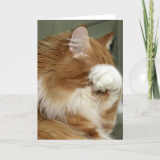 Carte Yeux de couverture de chats