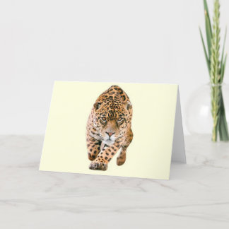 Carte Yeux de marche de Jaguar
