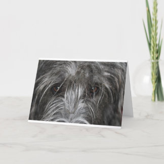 Carte Yeux qui hypnotisent