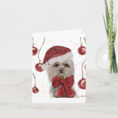 Carte Yorkie (Devant)