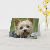 Carte Yorkie (Fleur jaune)