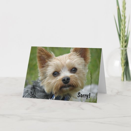 Carte Yorkie (Devant)