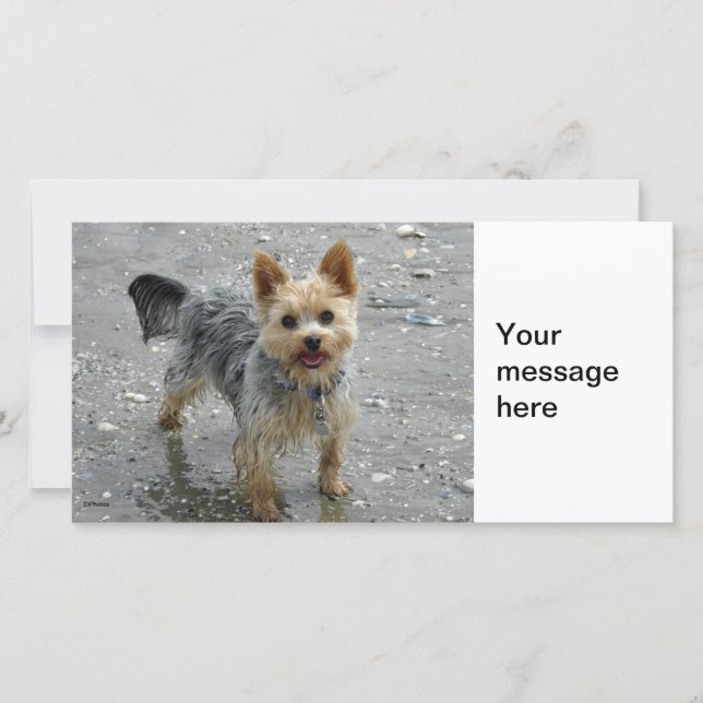 Carte Yorkie (Devant)