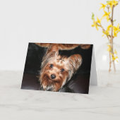 Carte Yorkie (Fleur jaune)