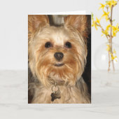 Carte yorkie (Fleur jaune)