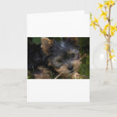 Carte yorkie avec bâton (Fleur jaune)