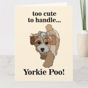 Carte Yorkie Poo Yorkipoo Chien mignon