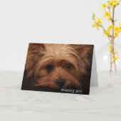 Carte Yorkie vous manquant (Fleur jaune)