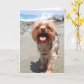 Carte yorkie vous manque (Fleur jaune)