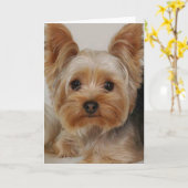Carte Yorkshire Terrier (Fleur jaune)