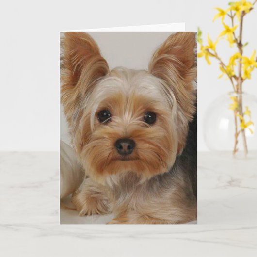 Carte Yorkshire Terrier (Fleur jaune)