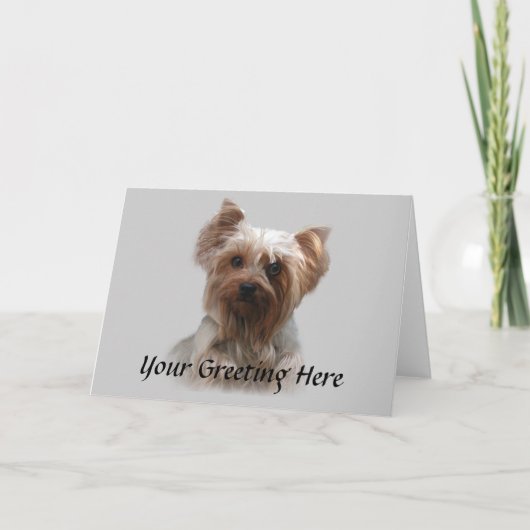 Carte Yorkshire Terrier (Devant)