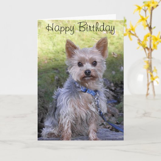 Carte Yorkshire Terrier (Fleur jaune)