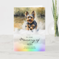 Yorkshire Terrier animal de compagnie perte sympat
