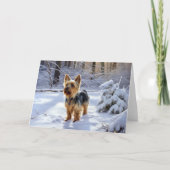 Carte Yorkshire Terrier Laisser Neige Noël (Devant)