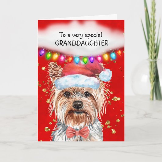 Carte Yorkshire terrier petite-fille mignonne voeux Noël (Devant)